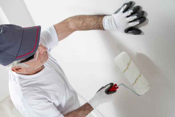 Best Mold Remediation for Healthcare Facilities  in Hugo, MN