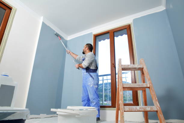 Hugo, MN Mold Removal Company