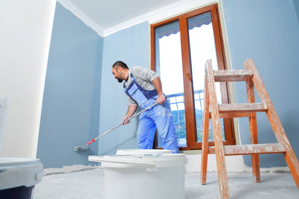 Best Mold Documentation for Insurance Claims  in Hugo, MN