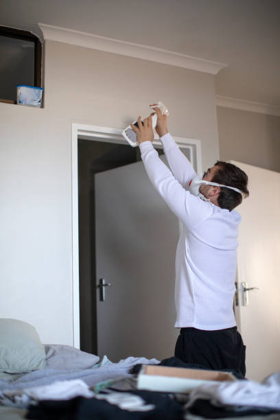 Best Attic Mold Removal  in Hugo, MN