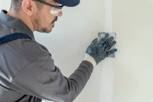 Best Forensic Mold Investigation  in Hugo, MN