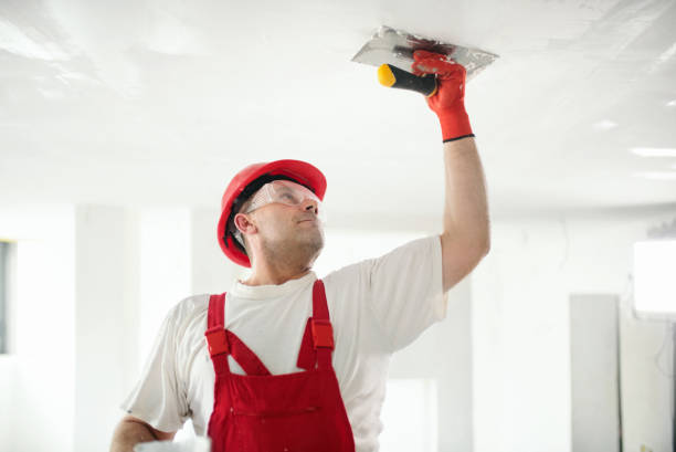 Best Environmental Consulting for Mold Prevention  in Hugo, MN