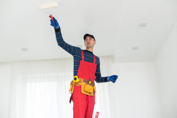Best Mold Prevention Services  in Hugo, MN