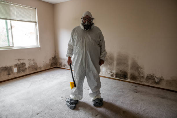 Best HVAC Mold Inspection and Cleaning  in Hugo, MN