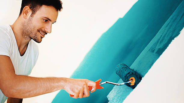Best Mold Damage Restoration  in Hugo, MN